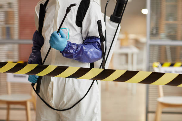 Professional Sewage Cleanup technician working in Avila Beach, CA